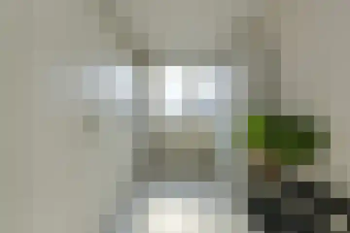 Heideveen 11 Breda thumbnail 31