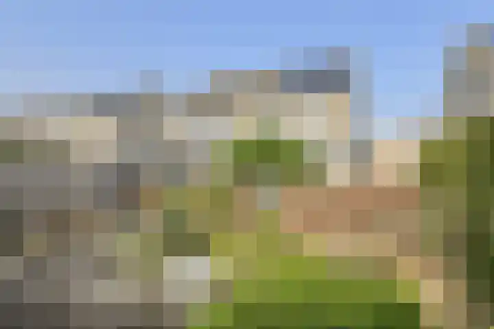 Heideveen 11 Breda thumbnail 46