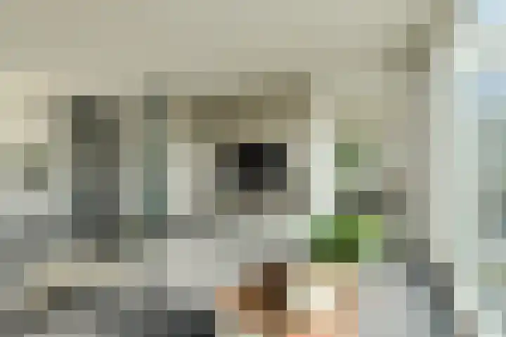 Heideveen 11 Breda thumbnail 7