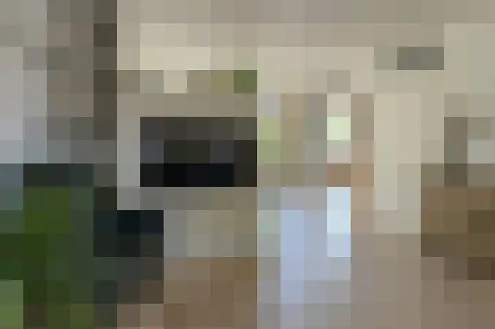 Heideveen 4 Breda thumbnail 11