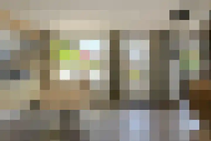 Heideveen 4 Breda thumbnail 12