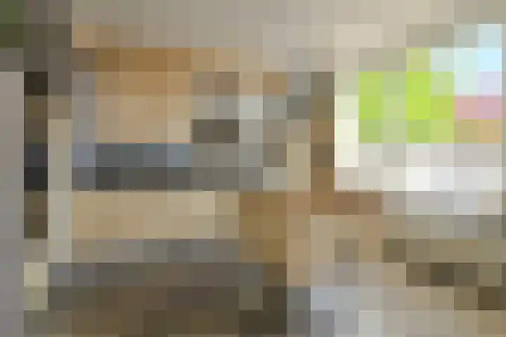 Heideveen 4 Breda thumbnail 13
