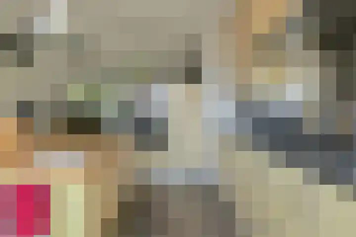 Heideveen 4 Breda thumbnail 15