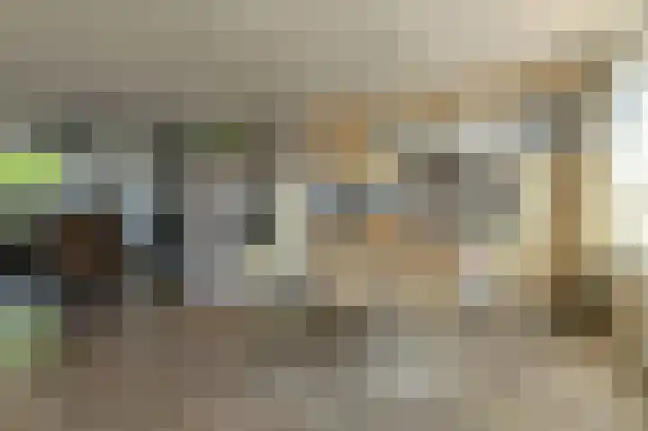 Heideveen 4 Breda thumbnail 21