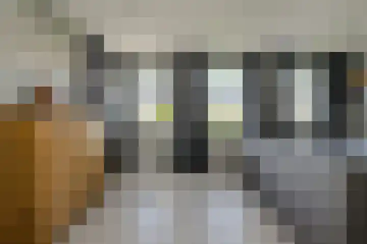 Heideveen 4 Breda thumbnail 25