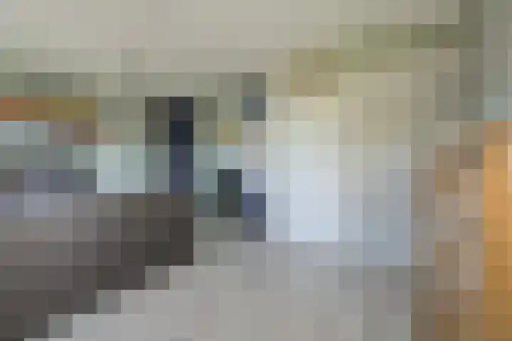 Heideveen 4 Breda thumbnail 27