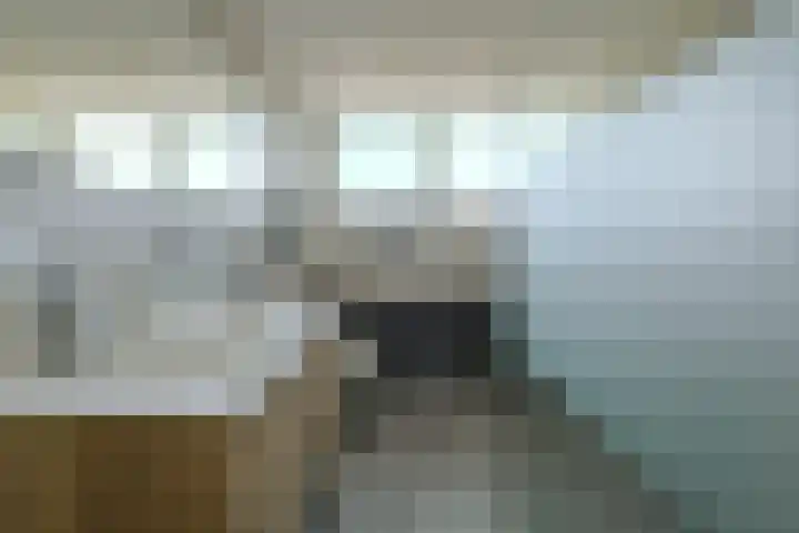 Heideveen 4 Breda thumbnail 29
