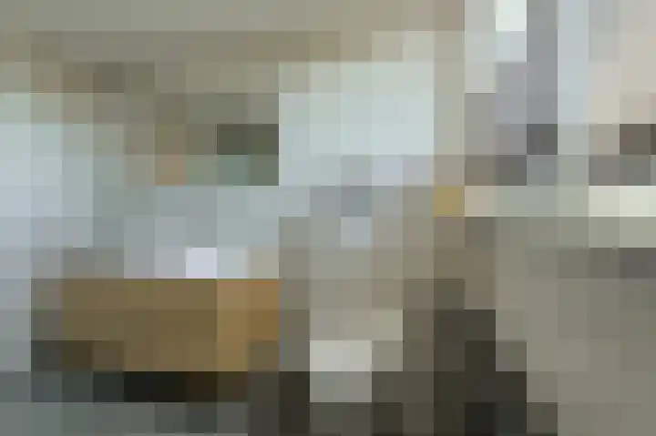 Heideveen 4 Breda thumbnail 30