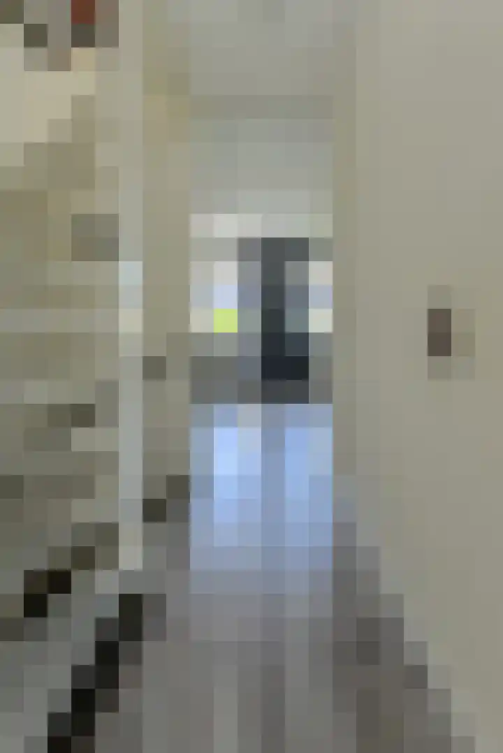 Heideveen 4 Breda thumbnail 38