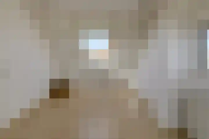 Heideveen 4 Breda thumbnail 40