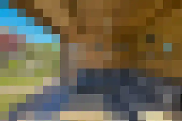 Heideveen 4 Breda thumbnail 49