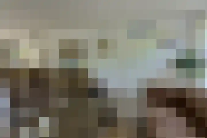 Heideveen 4 Breda thumbnail 5