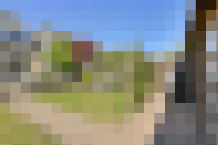 Heideveen 4 Breda thumbnail 51