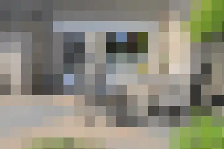Heideveen 4 Breda thumbnail 53