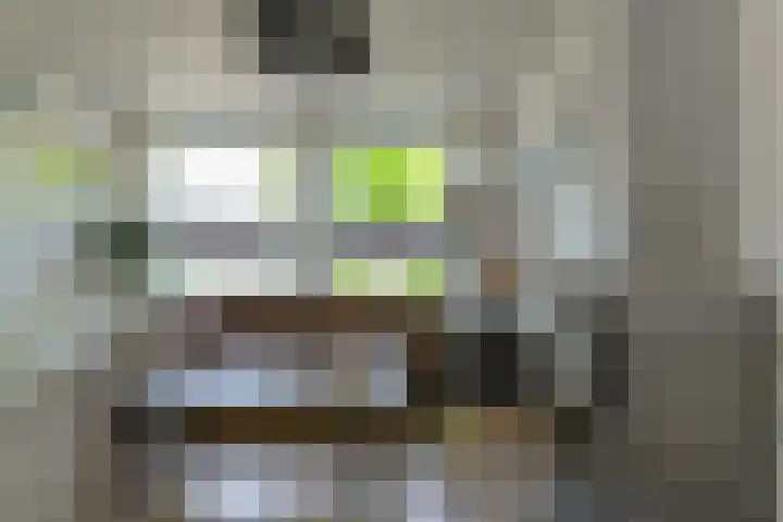 Heideveen 4 Breda thumbnail 7
