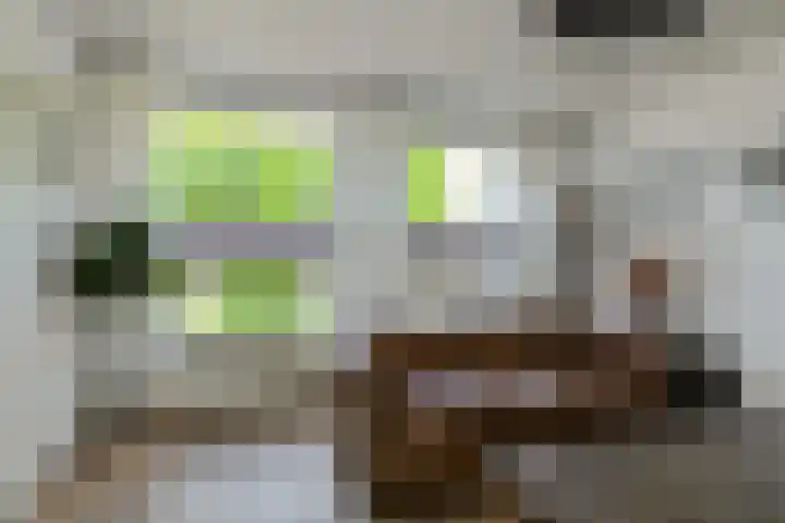 Heideveen 4 Breda thumbnail 8