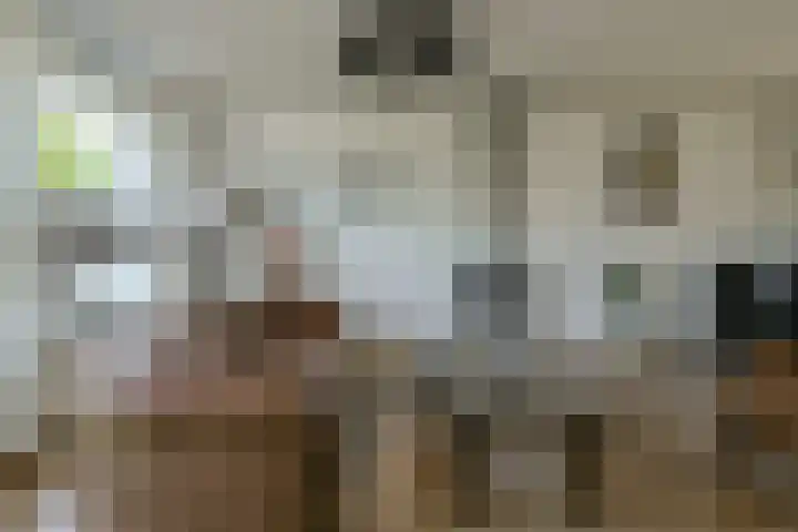 Heideveen 4 Breda thumbnail 9