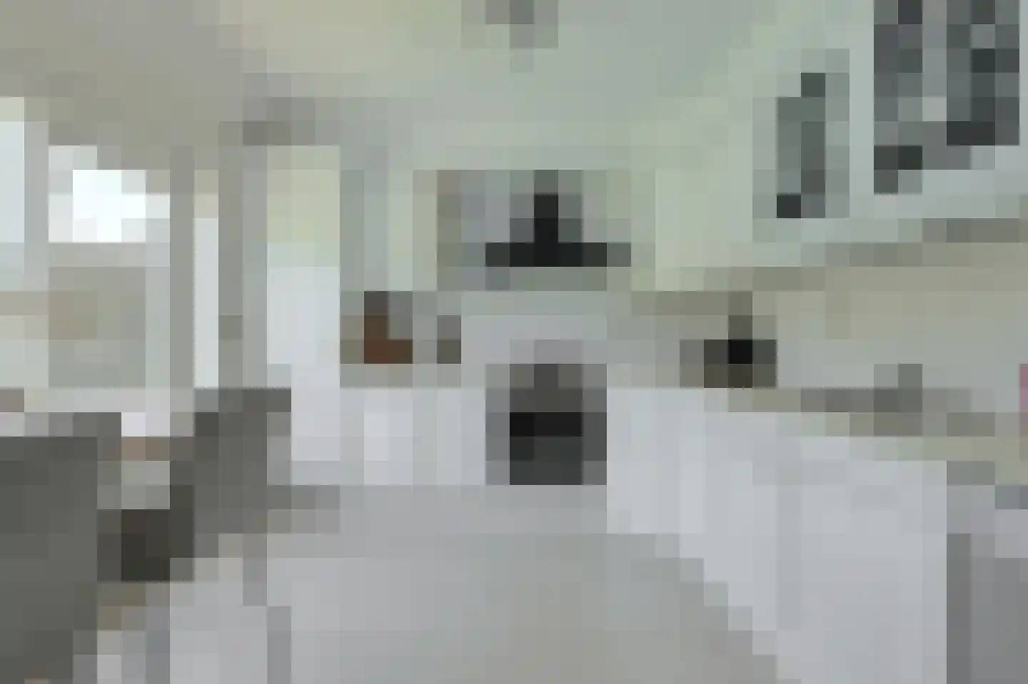 Heideveen 8 Breda thumbnail 13
