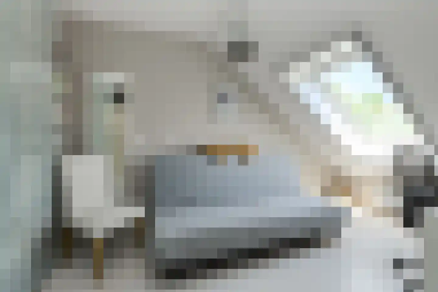 Heideveen 8 Breda thumbnail 33