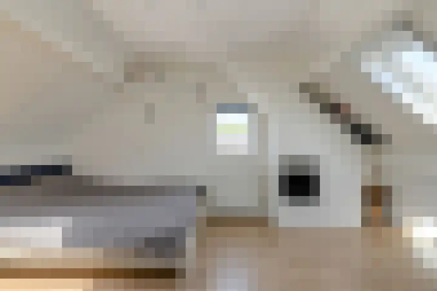 Heideveen 8 Breda thumbnail 36