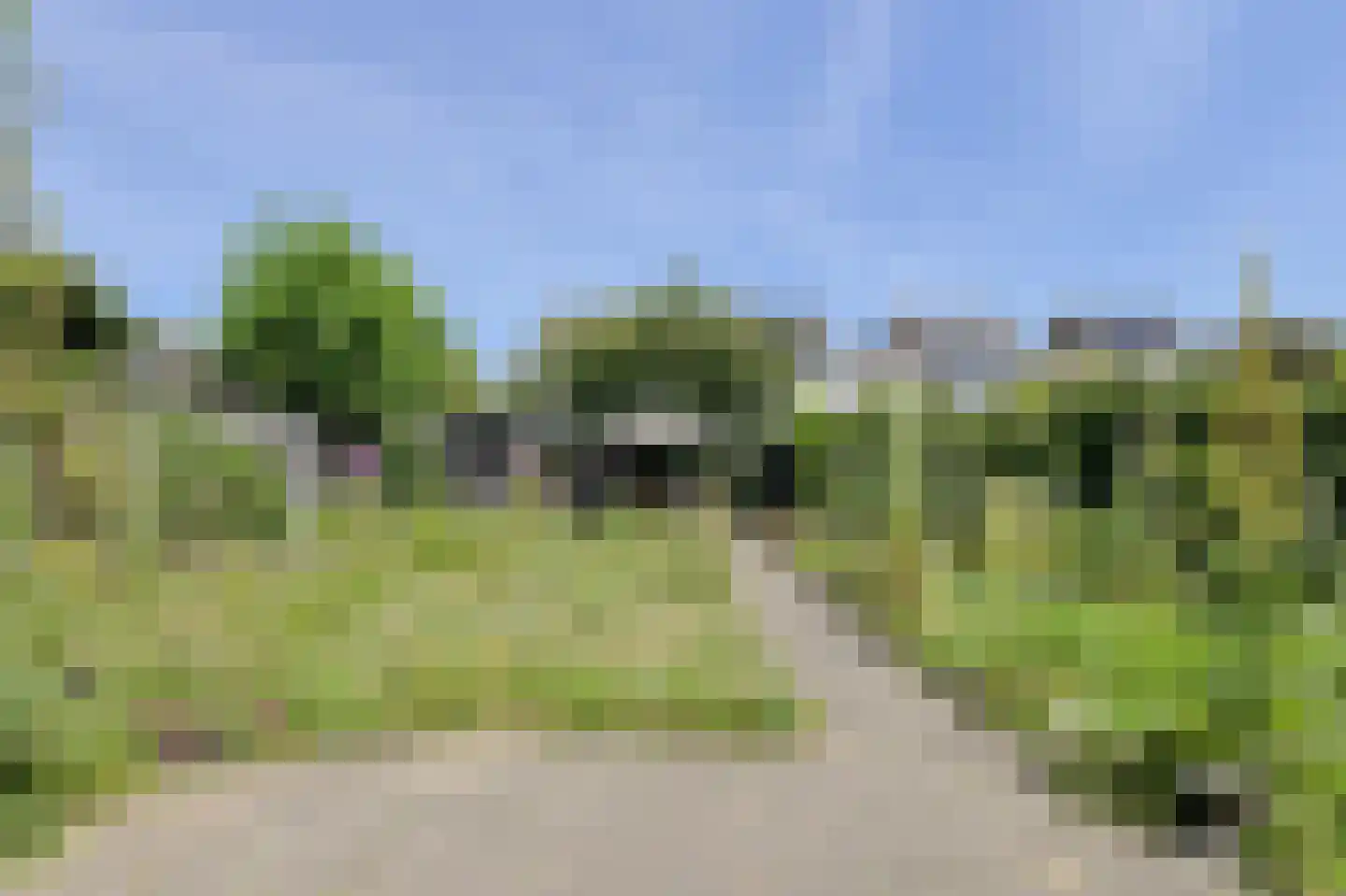 Heideveen 8 Breda thumbnail 42