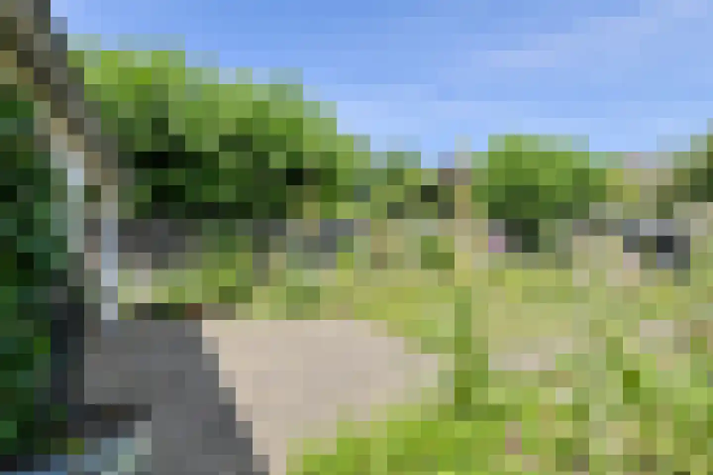 Heideveen 8 Breda thumbnail 45