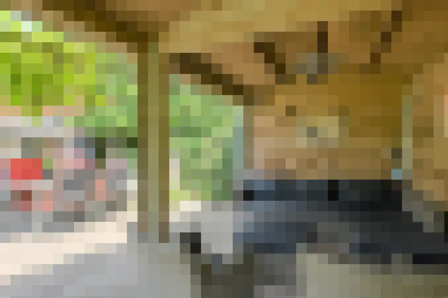 Heideveen 8 Breda thumbnail 47