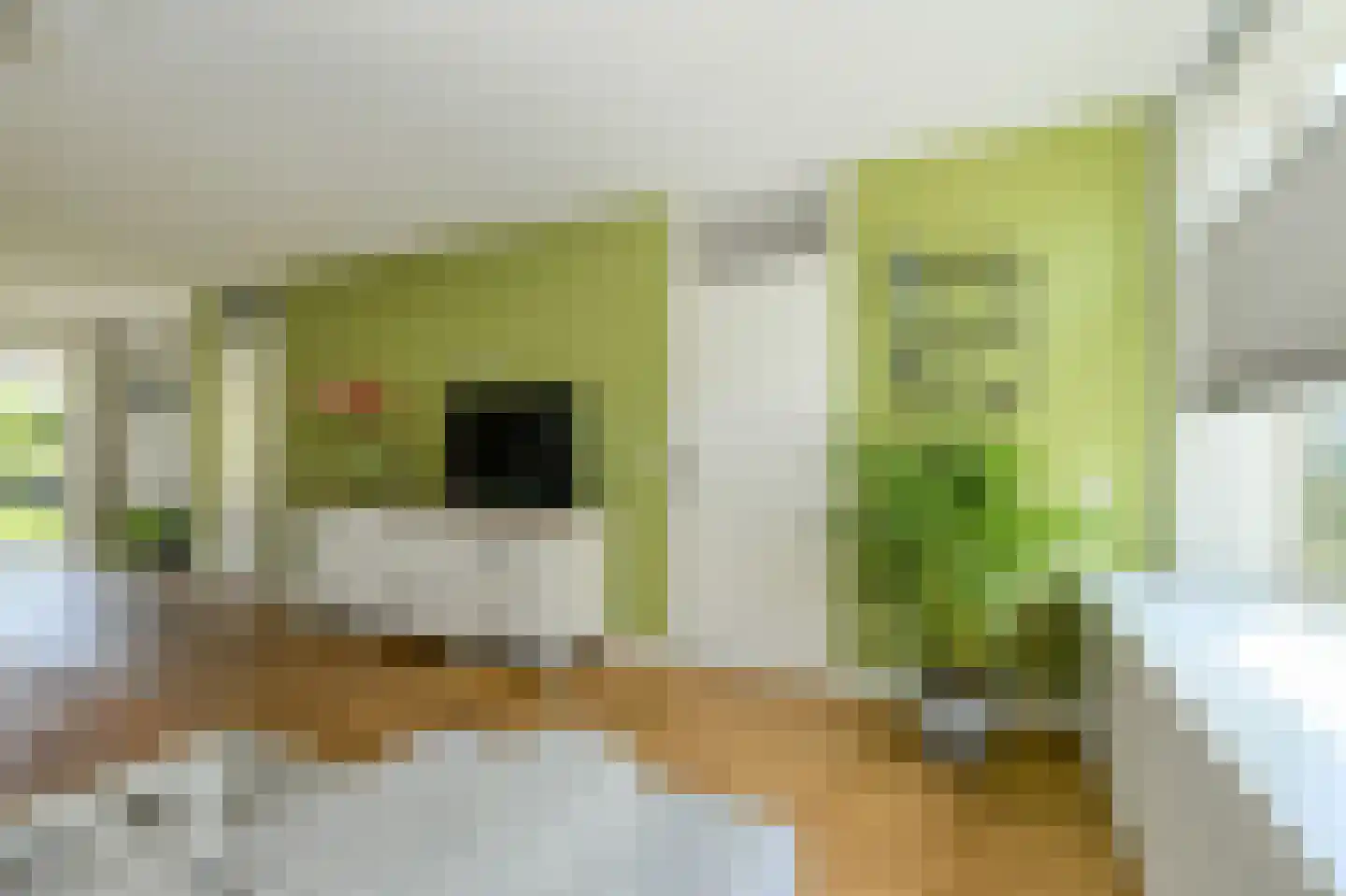 Heideveen 8 Breda thumbnail 6