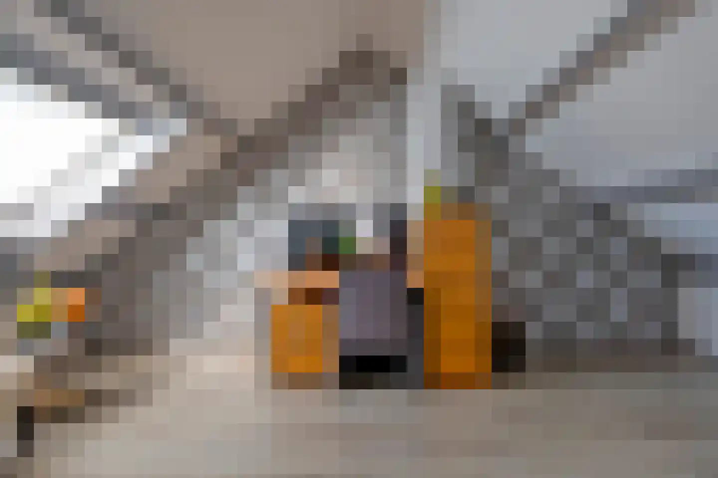 Heideveld 11 Assen thumbnail 25