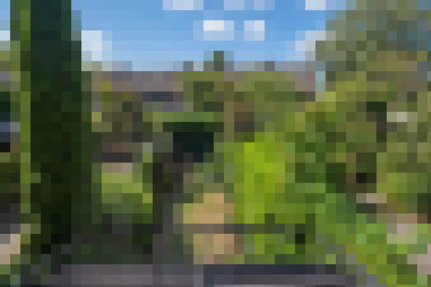 Heideveld 11 Assen thumbnail 28