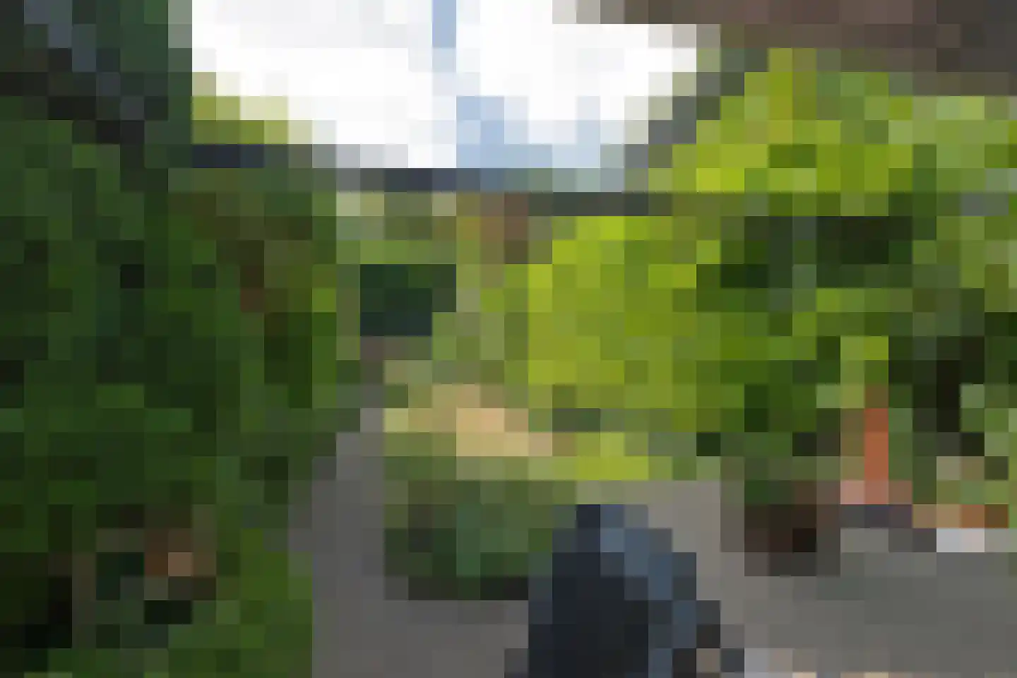 Heideveld 11 Assen thumbnail 30