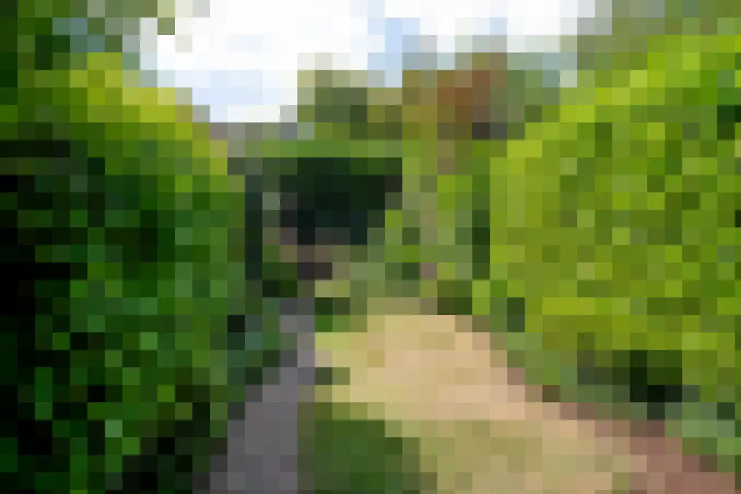 Heideveld 11 Assen thumbnail 33