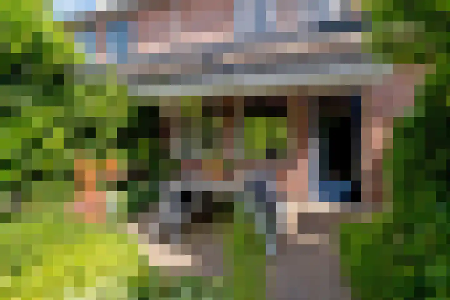 Heideveld 11 Assen thumbnail 34