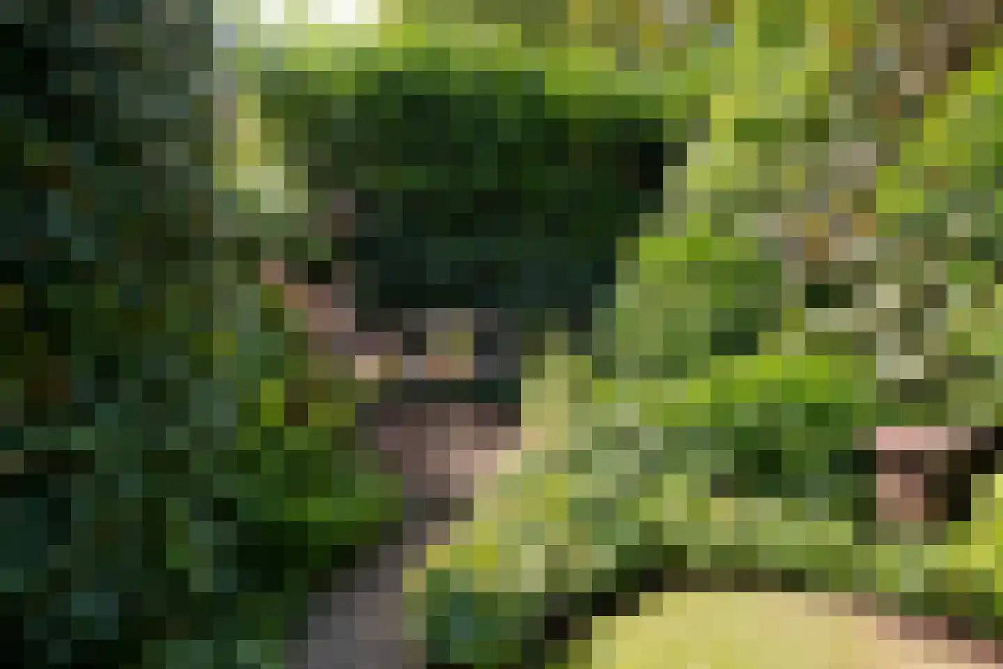 Heideveld 11 Assen thumbnail 35