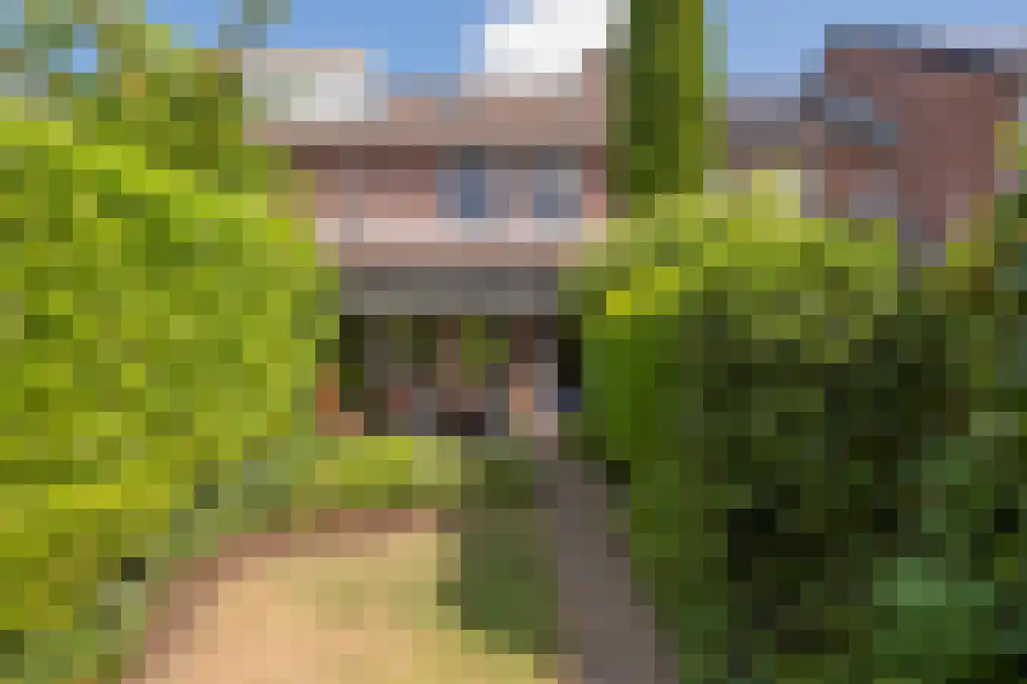 Heideveld 11 Assen thumbnail 36