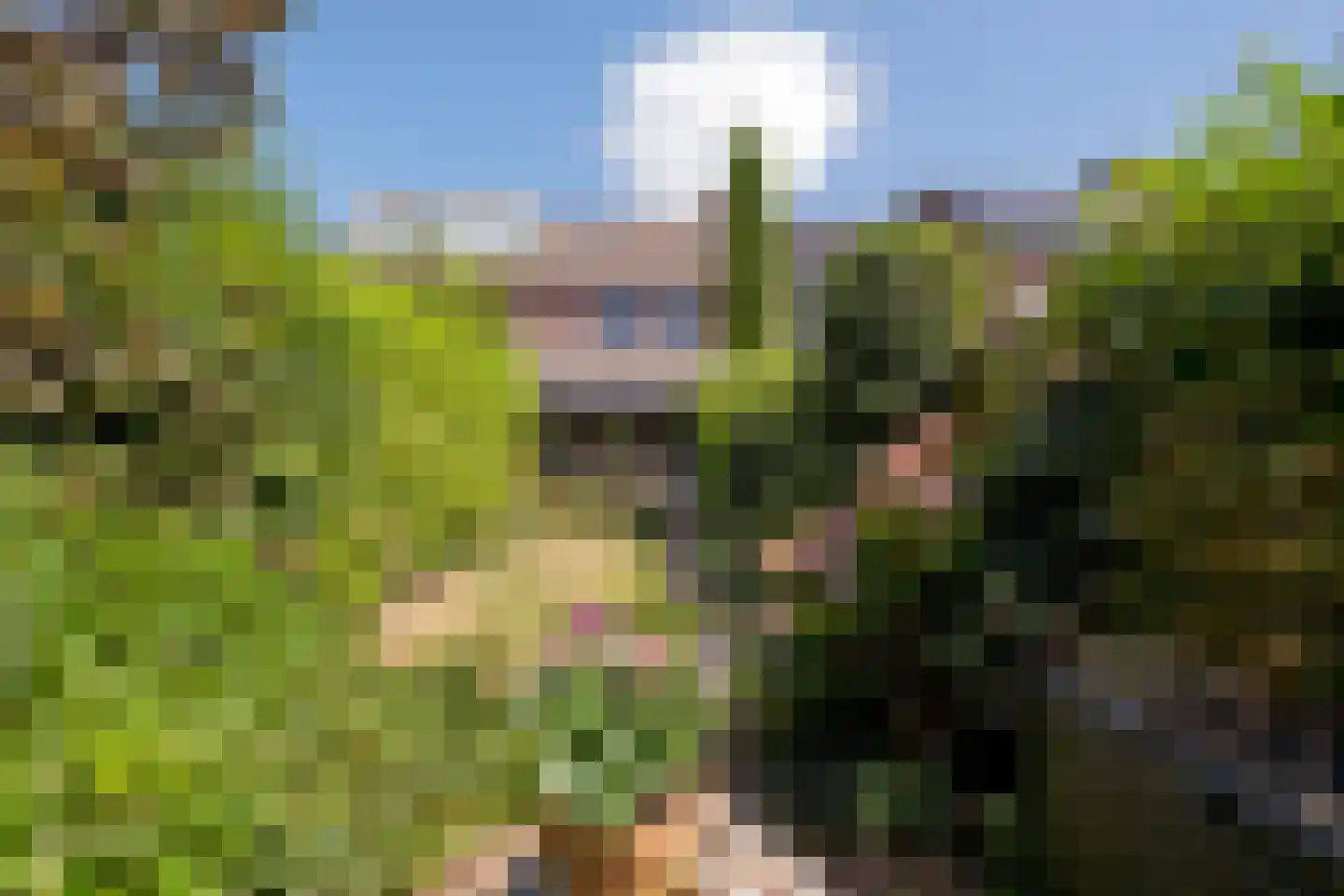 Heideveld 11 Assen thumbnail 37