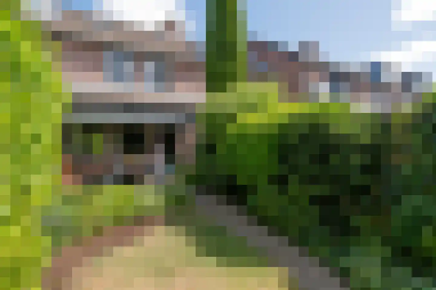 Heideveld 11 Assen thumbnail 39