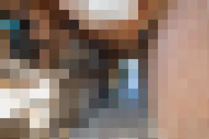 Heideveld 13 Assen thumbnail 33