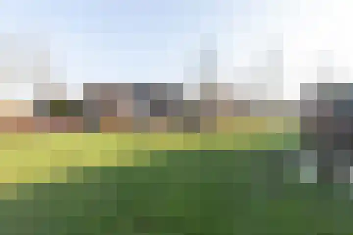 Heideveld 13 Assen thumbnail 35