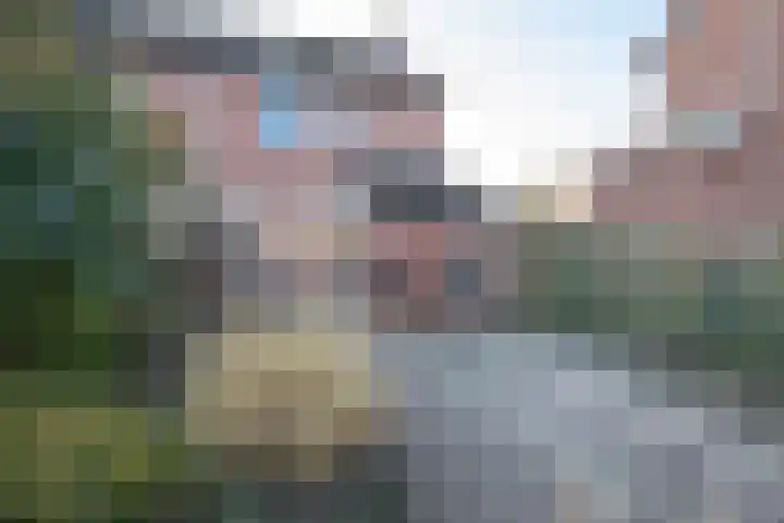 Heideveld 13 Assen thumbnail 38