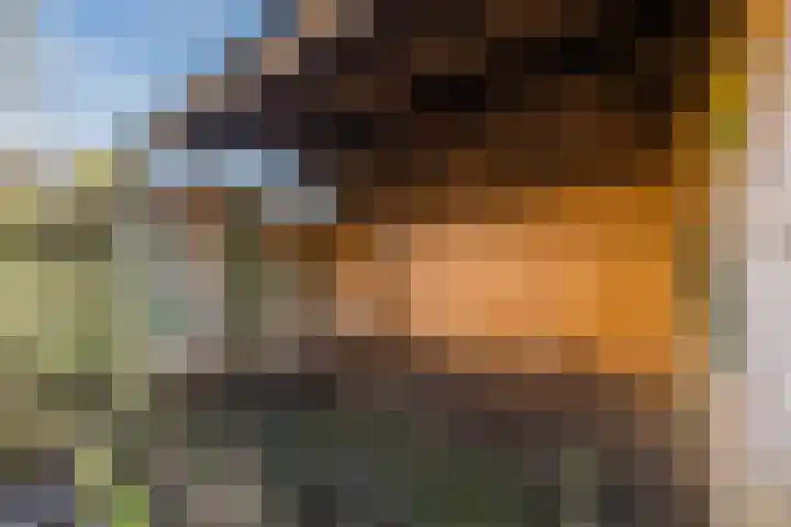 Heideveld 20 Assen thumbnail 36
