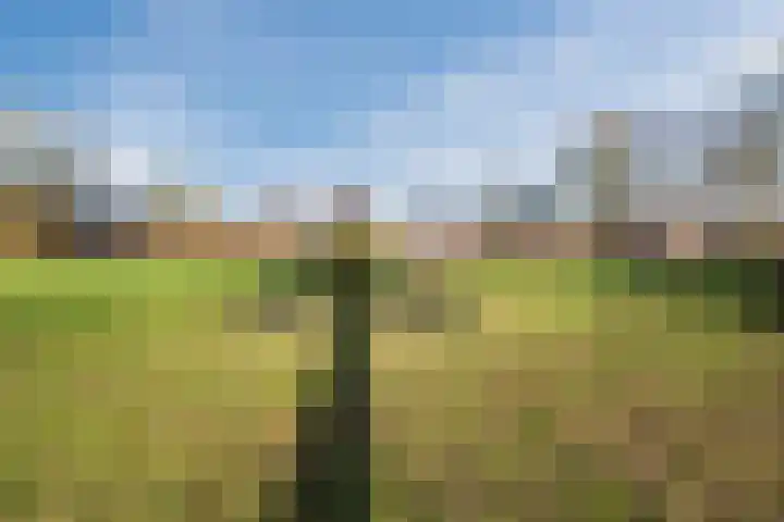 Heideveld 20 Assen thumbnail 40