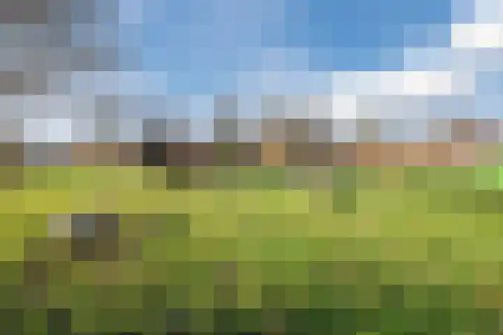 Heideveld 20 Assen thumbnail 41
