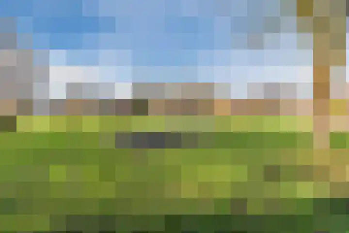 Heideveld 20 Assen thumbnail 42