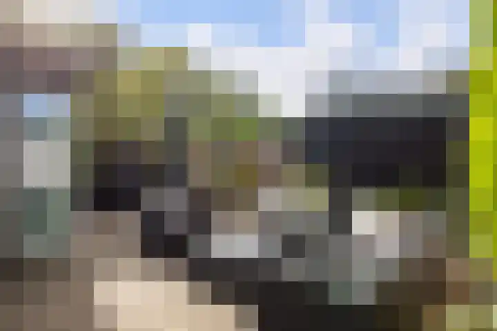 Heideveld 34 Nieuw-Vennep thumbnail 34