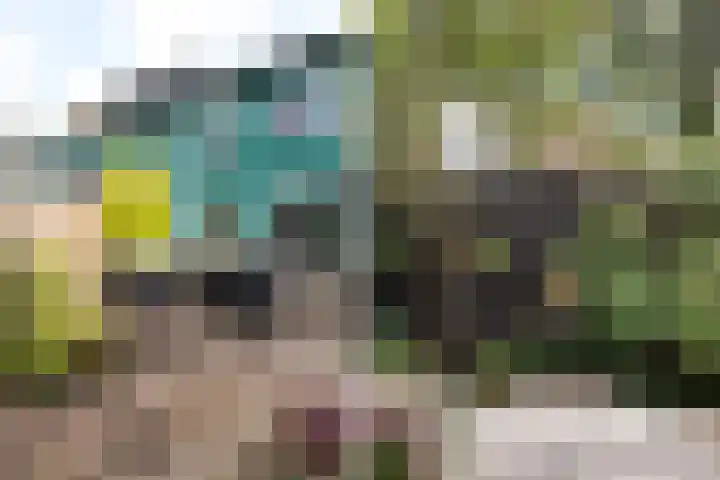 Heideveld 34 Nieuw-Vennep thumbnail 36