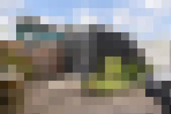 Heideveld 34 Nieuw-Vennep thumbnail 37