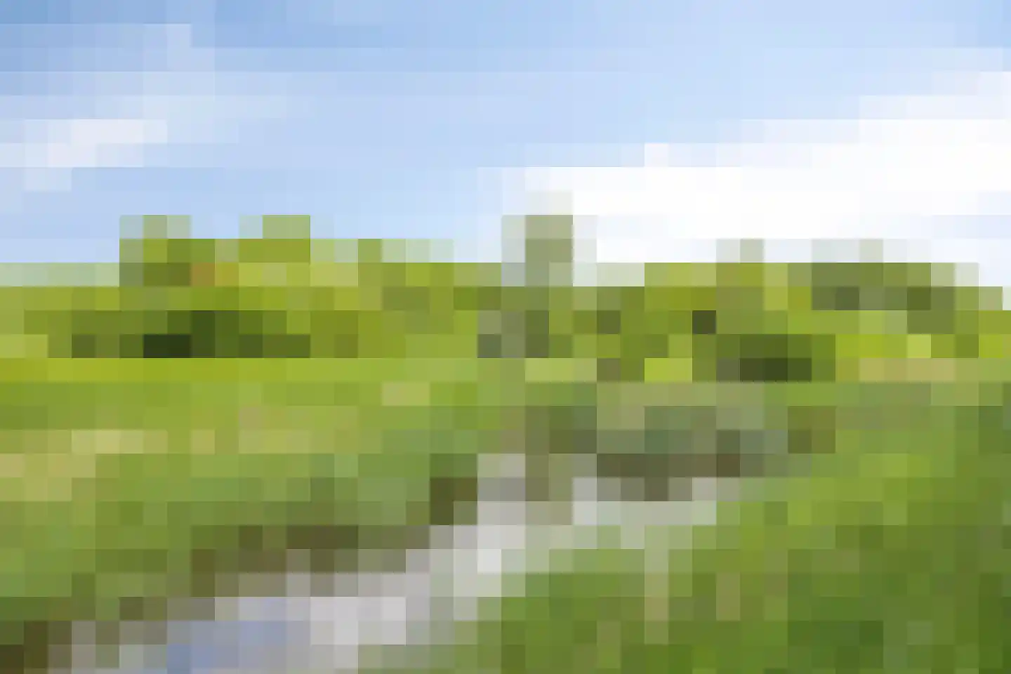 Heideveld 50 Nieuw-Vennep thumbnail 36