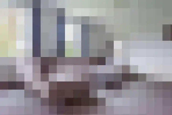 Heideveld 7 Kilder thumbnail 16