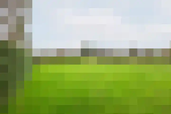 Heideveld 7 Kilder thumbnail 35